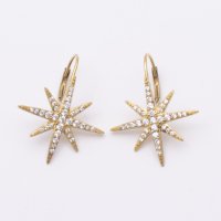 AGATHA PARIS/アガタ パリ AGATHA PARIS セレストピアス、スター フレンチワイヤータイプ、クリスタル／ゴールド/508077979
