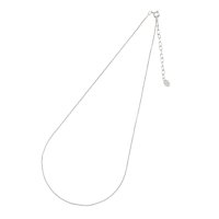 AGATHA PARIS/アガタ パリ AGATHA PARIS エッセンシャルコレクション、メッシュチェーン40cm/508078981