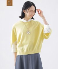 TRANS WORK(L)/【L】【ウォッシャブル】コットンギマクルーネックニット/508001261