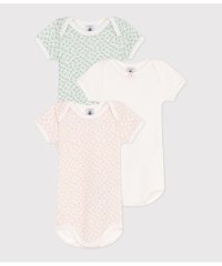 PETIT BATEAU/半袖ボディ３枚組/508080869