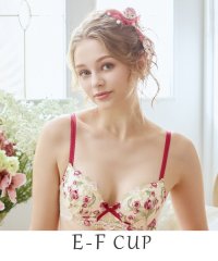 Risa Magli/ラリッサ ブラジャー（E－F）＜N Make Type＞/508091584