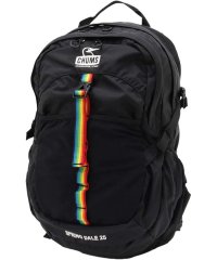 CHUMS/チャムス CHUMS チャムス CHUMS アウトドア スプリングデール25リットル メンズ レディース デイパック リュック 25L バッグ フェス 登山 ハ/507629266