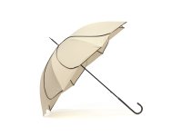 because/ビコーズ because 傘 レディース 軽い ブランド 長傘 晴雨兼用 雨傘 日傘 無地 UVカット 紫外線対策 花びら 花 Bicolor Piping バ/508096690
