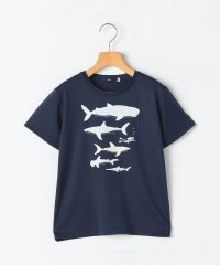 SHIPS KIDS/SHIPS KIDS:80c～90m /〈接触冷感/吸水速乾〉シャーク フリーク TEE/508097943