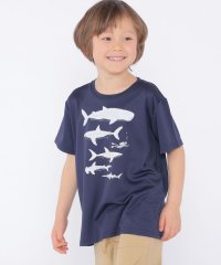 SHIPS KIDS/SHIPS KIDS:100c～130m /〈接触冷感/吸水速乾〉シャーク フリーク TEE/508097944