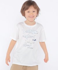 SHIPS KIDS/SHIPS KIDS:100c～130m /〈接触冷感/吸水速乾〉シャーク フリーク TEE/508097944