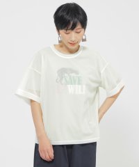 EVEX by KRIZIA/【カタログ掲載品】【ウォッシャブル】ソフトシアーカットソー/508075437