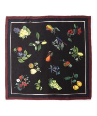 CABaN /CABaN シルク HARVEST スカーフ/508105095