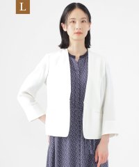 TRANS WORK(L)/【L】【美シリーズ】【UV対策】【着用しわ軽減】【ウォッシャブル】エアリーコードレーンノーカラージャケット/508085723