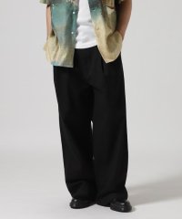 GARDEN/Toironier/トワロニエ/２Tuck CHINO Pants/508106824