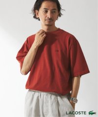 JOURNAL STANDARD relume Men's/LACOSTE / ラコステ 別注 ピグメントダイ カノコTシャツ/508112690