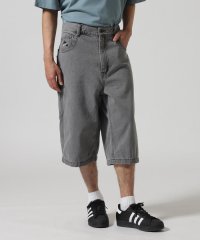 AVIREX/《直営店限定》VARSITY PAINTER SHORTS/508115894