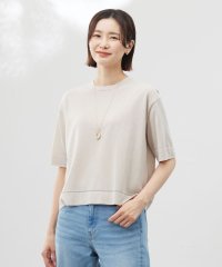 J.PRESS LADIES（LARGE SIZE）/【洗える・抗菌防臭】LUREX ラメ ニットT/508117830
