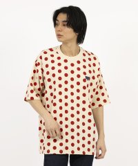 リーバイス / Levi's SKATE GRAPHIC BOX TEE POLKA DOT CREAM AN