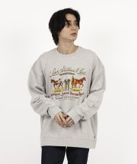 LEVI’S OUTLET/リーバイス / Levi's RELAXD GRAPHIC CREW ARCHIVAL 2/508032096
