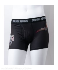 MAC HOUSE/マックハウス Mac－House ジュラシック・ワールド ボクサーパンツ 【返品不可商品】/508118624