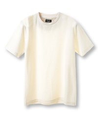 Men's Bigi/シャーリングジャカードクルーネックカットソー/508118709