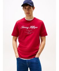 TOMMY HILFIGER/トミー ヒルフィガー TOMMY HILFIGER スクリプトロゴTシャツ/508119682