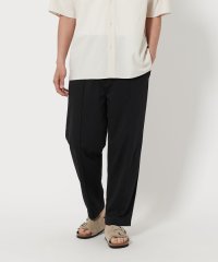 BEAUTY&YOUTH UNITED ARROWS/カネマサメリヤス ツイルタック イージーパンツ/508084720