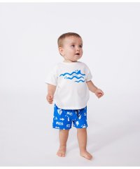 PETIT BATEAU/半袖Ｔシャツ/507948717