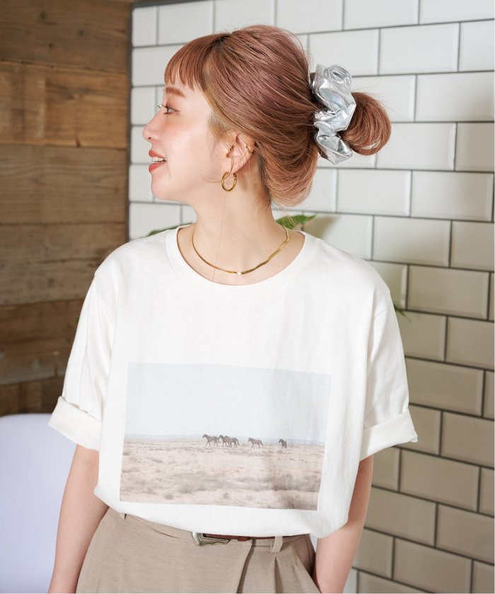tシャツ ウォッシャブル / Gleamy/グリーミー PHOTO Tシャツ レディース ウォッシャブル / Gleamy/グリーミー PHOTO Tシャツ（Tシャツ