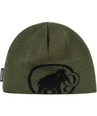 MAMMUT/マムート MAMMUT MAMMUT マムート アウトドア Tweak Beanie 1191ー01352 ニット帽 帽子 防寒 登山 1191/505957648