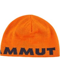 MAMMUT/マムート MAMMUT MAMMUT マムート アウトドア Mammut Logo Beanie 1191ー04891 ニット帽 ビーニー 帽子/506356553