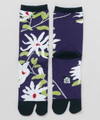 KAYA/カヤ カヤ コブシ足袋型くつ下（23－25cm）/508131809