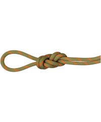 MAMMUT/マムート MAMMUT MAMMUT マムート アウトドア 8．0 Alpine Dry Rope 2010ー04350 201004350D 11240/506518274