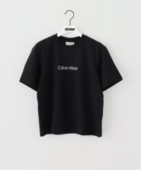 PULP/Calvin Klein / カルバン クライン SS RLXD STANDARD LOGO CREWN 47A220G/508140950