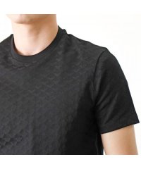 EMPORIO ARMANI/エンポリオ アルマーニ EMPORIO ARMANI EMPORIO ARMANI 半袖Tシャツ 8N1TL7 1JHWZ イーグル/508143390