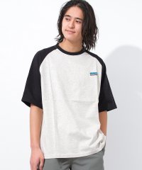 RAT EFFECT/ラット エフェクト RAT EFFECT ラグランワンポイント半袖Tシャツ/508144288