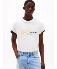 TOMMY HILFIGER/トミー ヒルフィガー TOMMY HILFIGER レギュラーシグネチャーロゴTシャツ/508119676