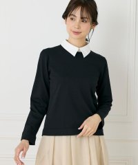 INED/イネド INED 衿付きクルーネックプルオーバー/508142141