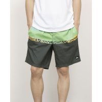 QUIKSILVER/クイックシルバー QUIKSILVER メンズ マリン ボードショーツ EVERYDAY WORDBLOCK VL 19 QBS251002 【返品不可商品】/508146972
