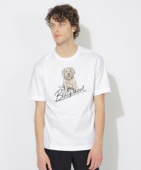 BLACK LABEL CRESTBRIDGE/【WEB限定】ゴールデンレトリーバーTシャツ/508131423