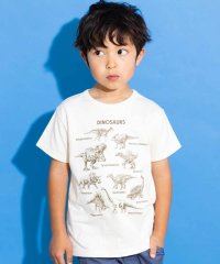 WASK/【速乾】恐竜図鑑プリントTシャツ(80~160cm)/508144883