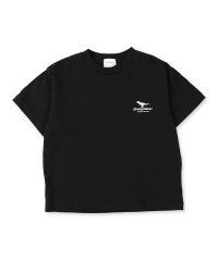 GROOVY COLORS/グルーヴィーカラーズ GROOVY COLORS DINOSAUR SOUNDS Tee/508149406