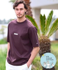 DRESSTERIOR/ドレステリア DRESSTERIOR ICE CLEAR COTTON NINEストリートT/508003526