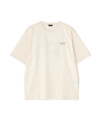 RoyalFlash/DENHAM/デンハム/WTDC TEE JEANS JERSEY/508145072