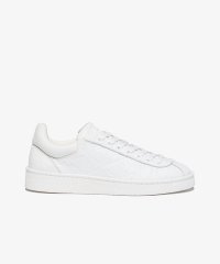 LACOSTESPORTS MENS/ラコステ LACOSTE メンズ BASESHOT PRM 125 2 SMA/508152478