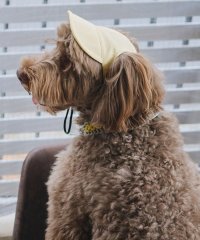 ROPE PICNIC PASSAGE/【DOG】【comif(コミフ)×ROPE' PICNIC】シャイニーキャップ/リンクコーデ/508153270