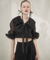 AND COUTURE/オーガンジーBIGカラーパーカー/508152580