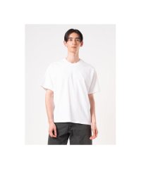 Levi's/ボックスシルエット クロップド Tシャツ /508156246