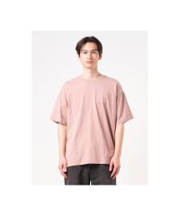 Levi's/ボックスシルエット クロップド Tシャツ /508156247