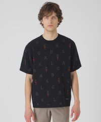BLACK LABEL CRESTBRIDGE/ガーズマンニットTシャツ/508102020