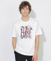 BLACK LABEL CRESTBRIDGE/【WEB・一部店舗限定】ユニオンジャックロゴTシャツ/508102029
