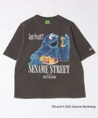 FRUIT OF THE LOOM/フルーツオブザルーム SESAME STREET meets FRUIT OF THE LOOM Photo T－Shirt C/508160920