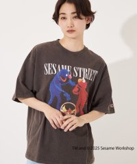 FRUIT OF THE LOOM/フルーツオブザルーム SESAME STREET meets FRUIT OF THE LOOM Photo T－Shirt A/508160922