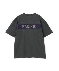 AVIREX/《WEB&DEPOT限定》SHEETING T－SHIRT "S.F.W/508161884